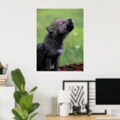 Wolf Cub Howling Poster (Thuiskantoor)