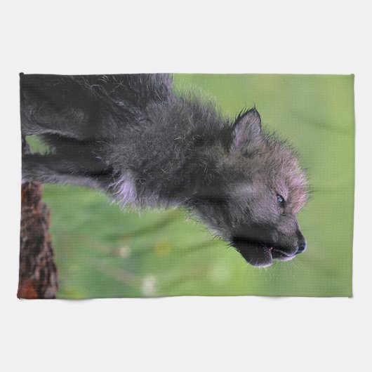 Wolf Cub Howling Theedoek (Horizontaal)