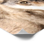 Wolf Cub Poster (Hoek)