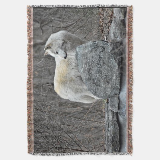 Wolf Deken (Voorkant Verticaal)