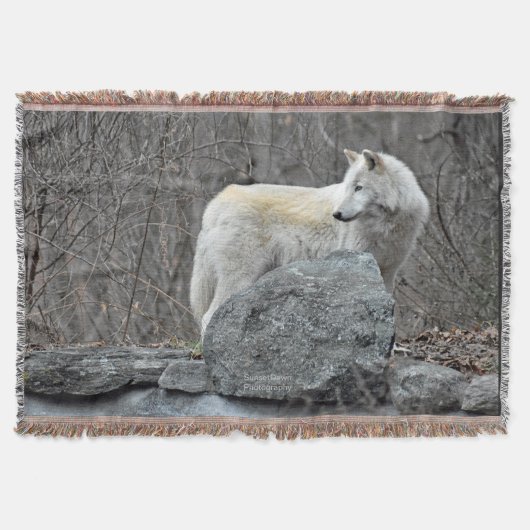 Wolf Deken (Voorkant)