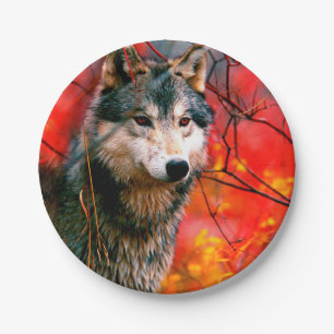 Wolf die door bladeren in een bos piept papieren bordje