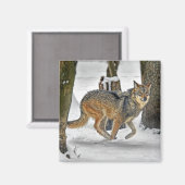 Wolf die in Sneeuwmagneet loopt Magneet (Voorkant / Achterkant)