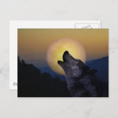 Wolf die op de maan huilt briefkaart (Voorkant / Achterkant)
