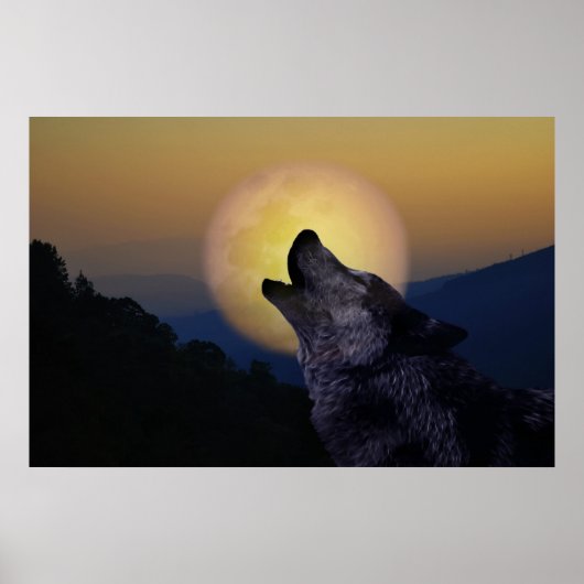 Wolf die op de maan huilt poster (Voorkant)
