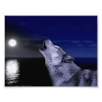 Wolf die op de maan in het zee glijdt