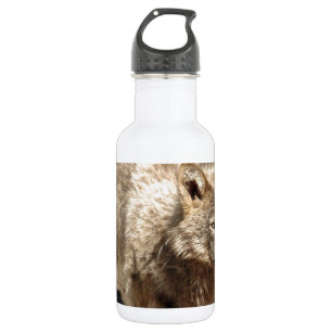 Wolf Dieren Vrede Liefde Natuur Park Wolven Bestem Waterfles