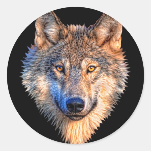 Wolf dierengezicht. Scale grijze wolf Ronde Sticker (Voorkant)