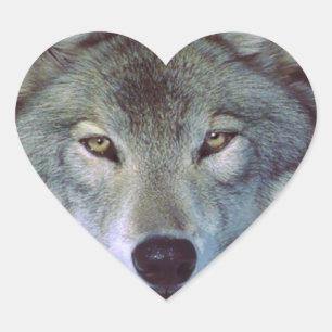 Wolf dierentuin hart sticker