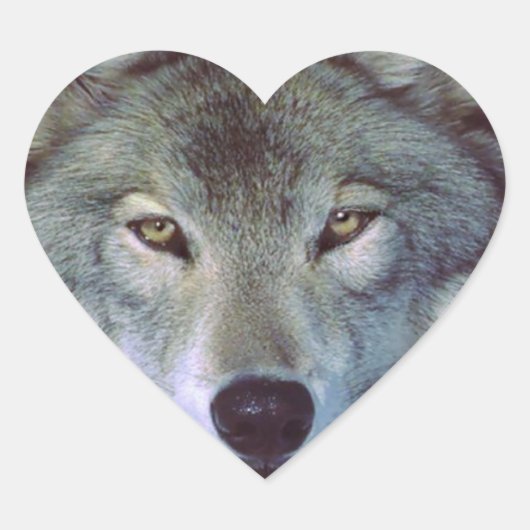 Wolf dierentuin hart sticker (Voorkant)