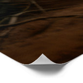 Wolf Dierlijke Natuur Majestueuze Wildernis Poster (Hoek)