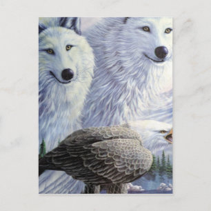 Wolf Eagle Animals Natuur Park Kantoor Business Ar Briefkaart
