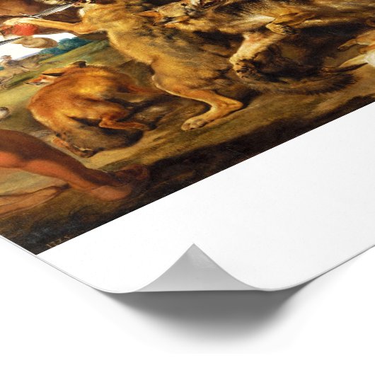 Wolf en Fox jagen Peter Paul Rubens meesterwerk Poster (Hoek)
