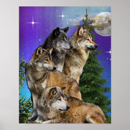 wolf en Maan Poster (Voorkant)