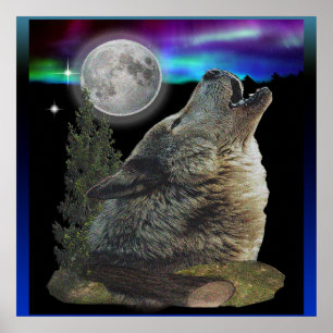 Wolf en maanhowling poster