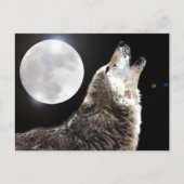 Wolf en Moon Briefkaart (Voorkant)