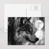 Wolf en Moon Briefkaart (Voorkant / Achterkant)
