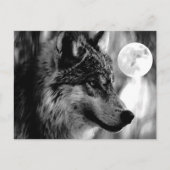 Wolf en Moon Briefkaart (Voorkant)