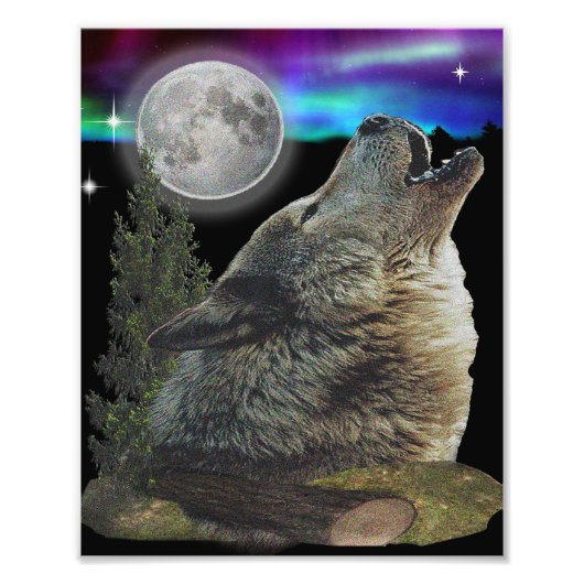Wolf en Moon Foto Afdruk (Voorkant)