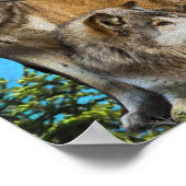 wolf en Moon Poster (Hoek)