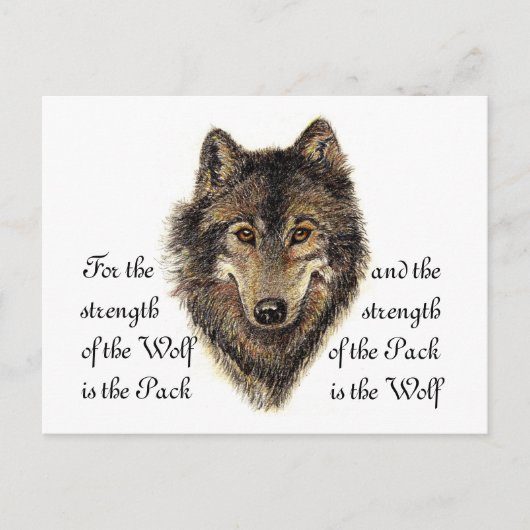 Wolf en Pack Citaat - Dierlijk Collectie Briefkaart (Voorkant)