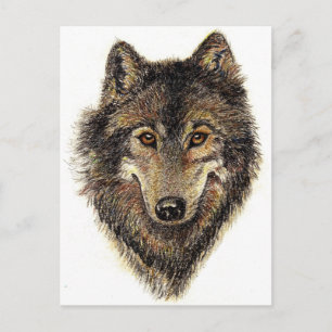 Wolf en Pack Citaat - Dierlijk Collectie Briefkaart