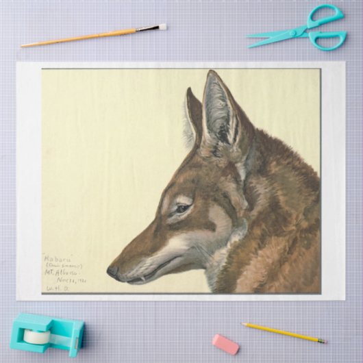 Wolf Ephemera Decoupage Tissuepapier (Craft)