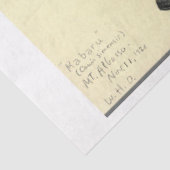 Wolf Ephemera Decoupage Tissuepapier (Detail)