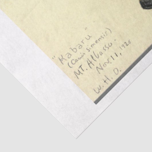 Wolf Ephemera Decoupage Tissuepapier (Detail)