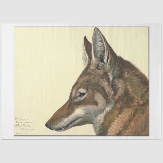 Wolf Ephemera Decoupage Tissuepapier (Voorkant)