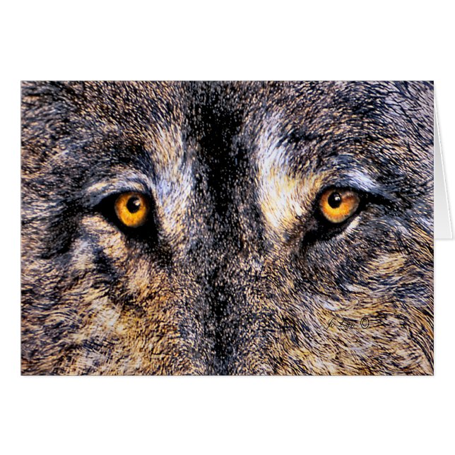 Wolf Eyes (Voorkant Horizontaal)
