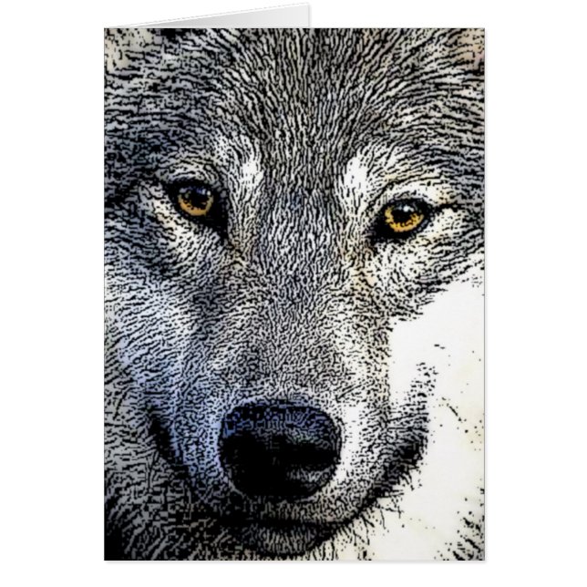 Wolf Eyes Artwork (Voorkant)