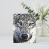 Wolf Eyes Artwork Briefkaart (Staand voorkant)