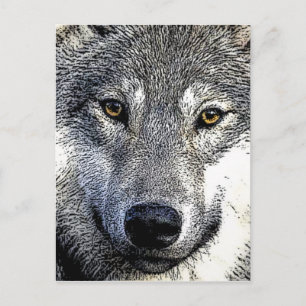 Wolf Eyes Artwork Briefkaart