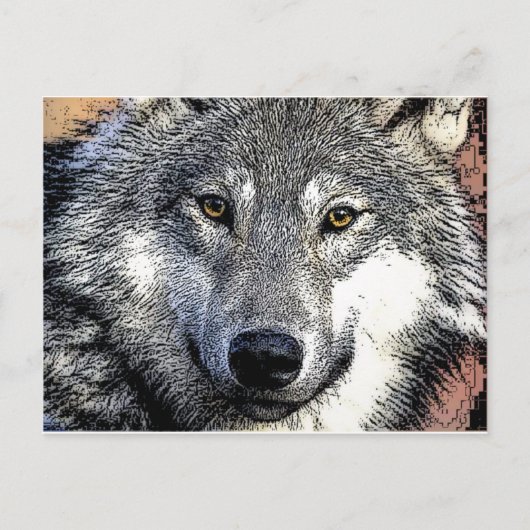 Wolf Eyes Artwork Briefkaart (Voorkant)