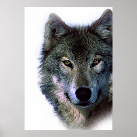 Wolf Eyes Artwork Freedom Poster (Voorkant)