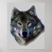 Wolf Eyes Artwork Poster Print (Voorkant)