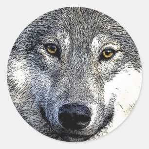 Wolf Eyes Artwork Ronde Sticker