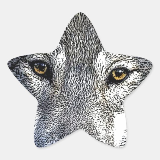 Wolf Eyes Artwork Ster Sticker (Voorkant)