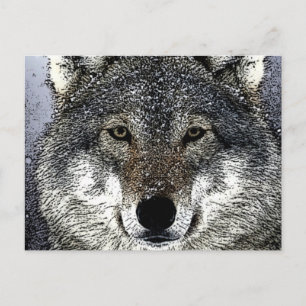 Wolf Eyes Briefkaart