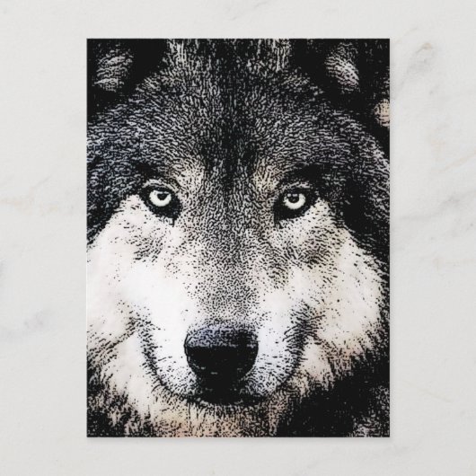 Wolf Eyes Briefkaart (Voorkant)