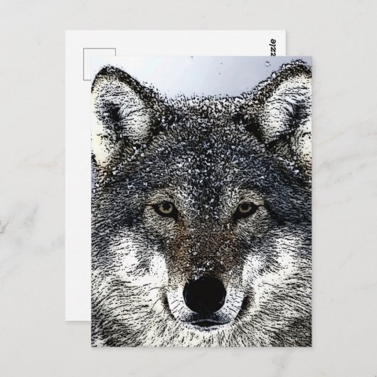 Wolf Eyes Briefkaart (Voorkant / Achterkant)
