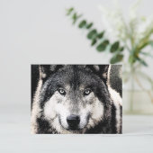 Wolf Eyes Briefkaart (Staand voorkant)