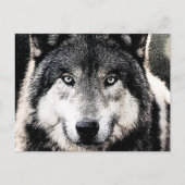 Wolf Eyes Briefkaart (Voorkant)
