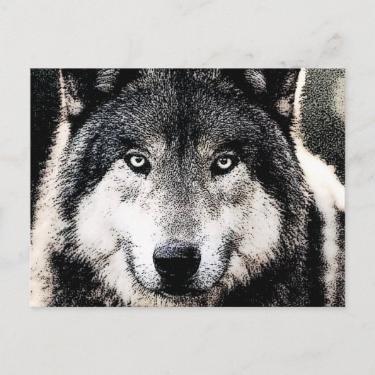 Wolf Eyes Briefkaart (Voorkant)