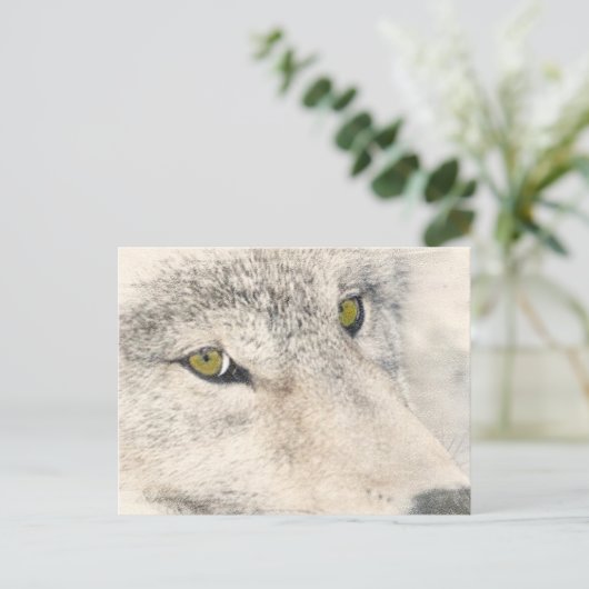 Wolf Eyes Briefkaart (Staand voorkant)