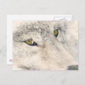 Wolf Eyes Briefkaart (Voorkant / Achterkant)