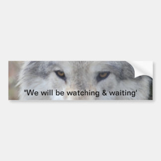 Wolf Eyes Bumpersticker