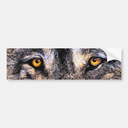 Wolf Eyes Bumpersticker (Voorkant)