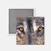 Wolf Eyes Magnet (Voorkant / Achterkant)